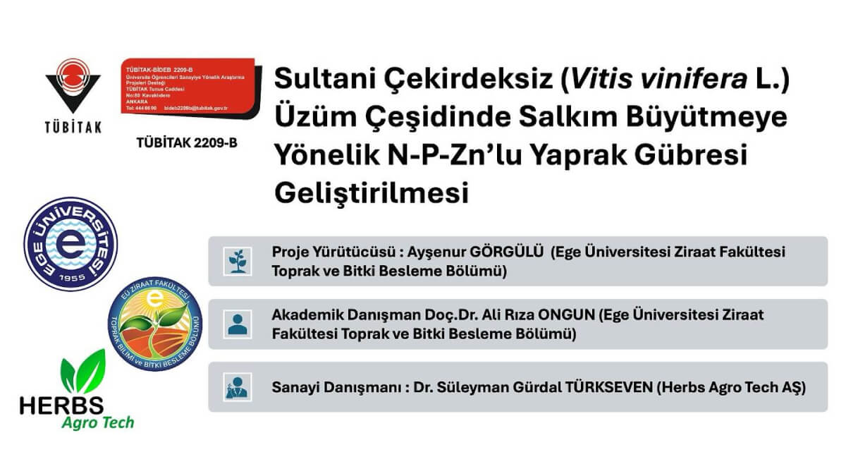 Tubitak İş Birliği ile Sultani Çekirdeksiz Üzüm Çeşidinde Salkım Büyütmeye Yönelik N-P-Zn'lu Yaprak Gübresi Geliştirmesi
