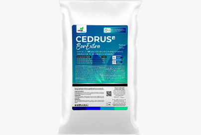 CEDRUS BorExtra