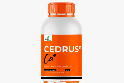 CEDRUS Ca+