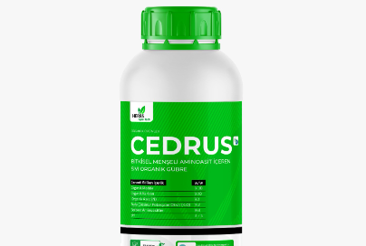 CEDRUS