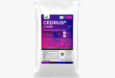CEDRUS Combi