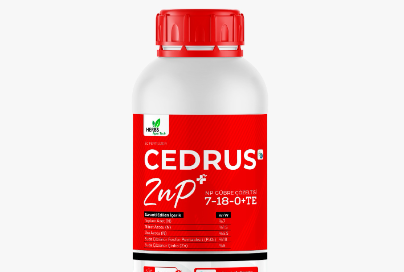 CEDRUS ZnP+
